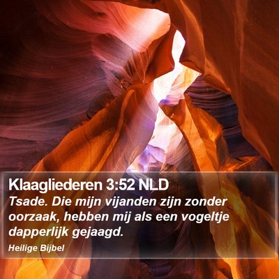 Klaagliederen 3:52 NLD Bible Verse Image