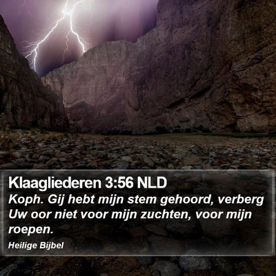 Klaagliederen 3:56 NLD Bible Verse Image