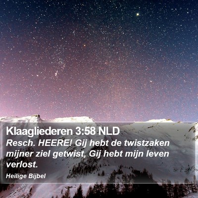Klaagliederen 3:58 NLD Bible Verse Image