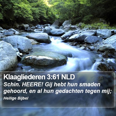 Klaagliederen 3:61 NLD Bible Verse Image