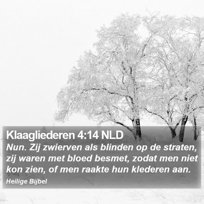 Klaagliederen 4:14 NLD Bible Verse Image