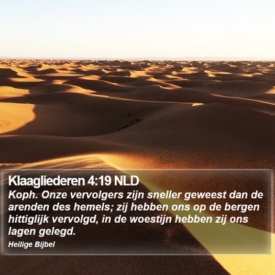 Klaagliederen 4:19 NLD Bible Verse Image