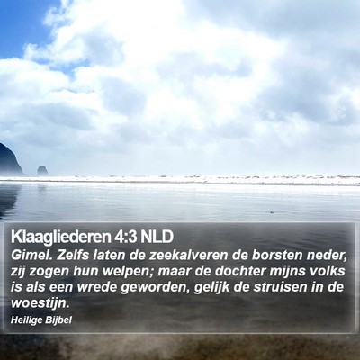 Klaagliederen 4:3 NLD Bible Verse Image
