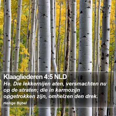 Klaagliederen 4:5 NLD Bible Verse Image