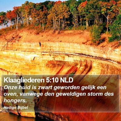 Klaagliederen 5:10 NLD Bible Verse Image