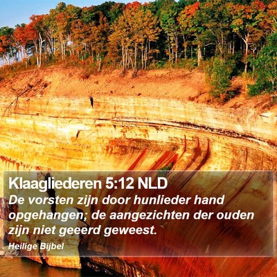 Klaagliederen 5:12 NLD Bible Verse Image