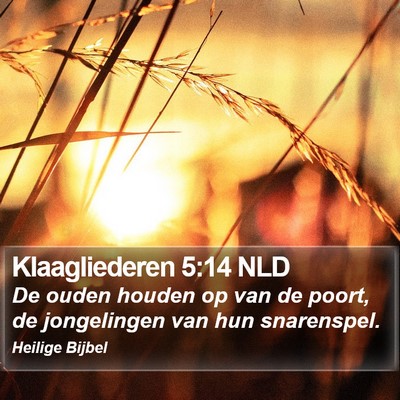 Klaagliederen 5:14 NLD Bible Verse Image