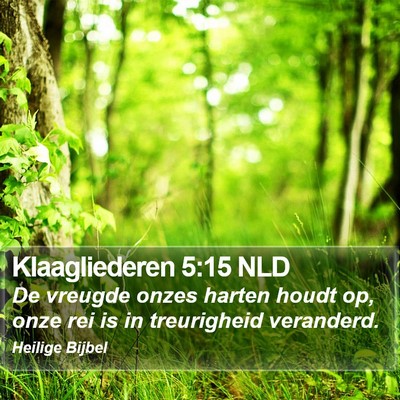 Klaagliederen 5:15 NLD Bible Verse Image