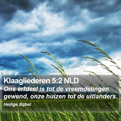 Klaagliederen 5:2 NLD Bible Verse Image
