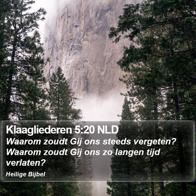 Klaagliederen 5:20 NLD Bible Verse Image