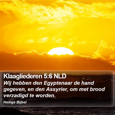 Klaagliederen 5:6 NLD Bible Verse Image