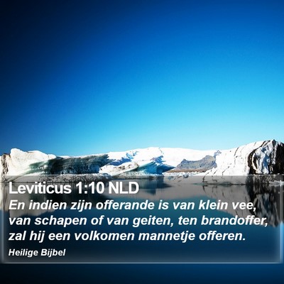 Leviticus 1:10 NLD Bible Verse Image