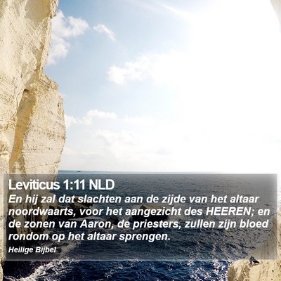 Leviticus 1:11 NLD Bible Verse Image