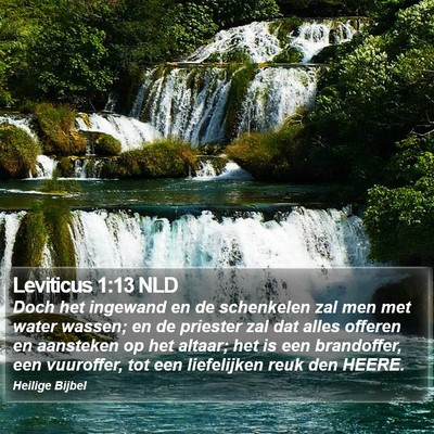 Leviticus 1:13 NLD Bible Verse Image
