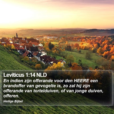 Leviticus 1:14 NLD Bible Verse Image