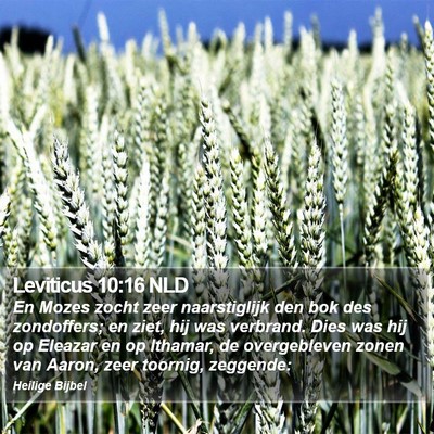 Leviticus 10:16 NLD Bible Verse Image