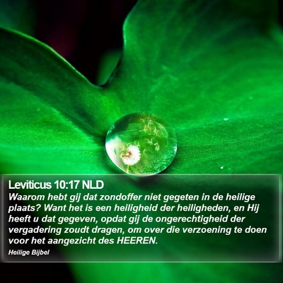 Leviticus 10:17 NLD Bible Verse Image