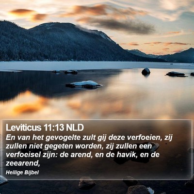Leviticus 11:13 NLD Bible Verse Image