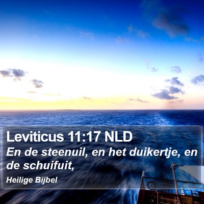 Leviticus 11:17 NLD Bible Verse Image