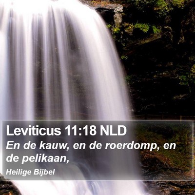 Leviticus 11:18 NLD Bible Verse Image
