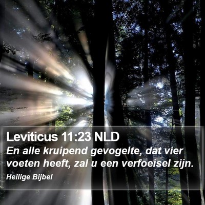 Leviticus 11:23 NLD Bible Verse Image