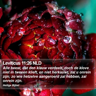 Leviticus 11:26 NLD Bible Verse Image