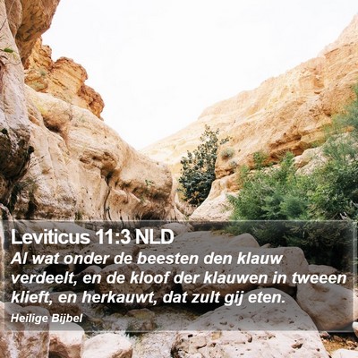 Leviticus 11:3 NLD Bible Verse Image