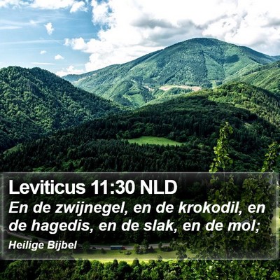 Leviticus 11:30 NLD Bible Verse Image