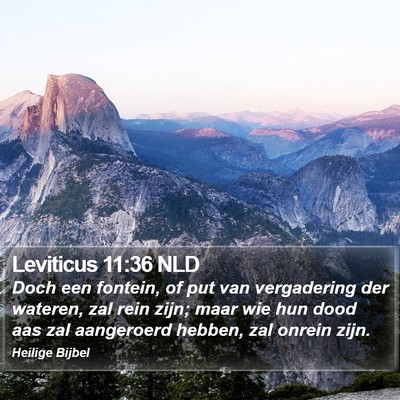 Leviticus 11:36 NLD Bible Verse Image