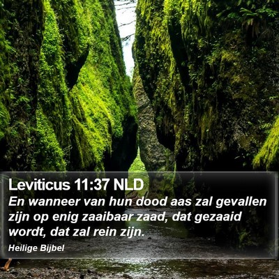 Leviticus 11:37 NLD Bible Verse Image