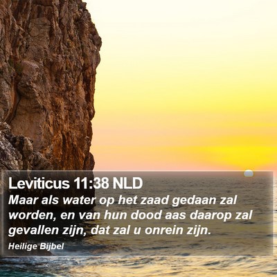 Leviticus 11:38 NLD Bible Verse Image
