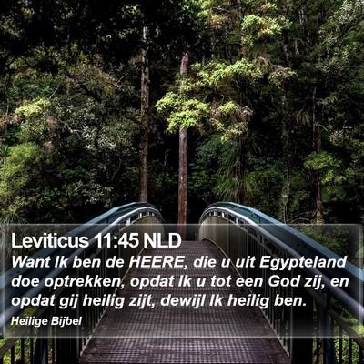 Leviticus 11:45 NLD Bible Verse Image