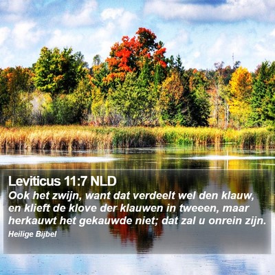 Leviticus 11:7 NLD Bible Verse Image