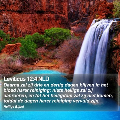 Leviticus 12:4 NLD Bible Verse Image