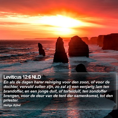 Leviticus 12:6 NLD Bible Verse Image