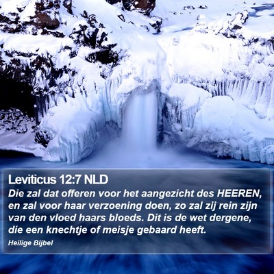 Leviticus 12:7 NLD Bible Verse Image