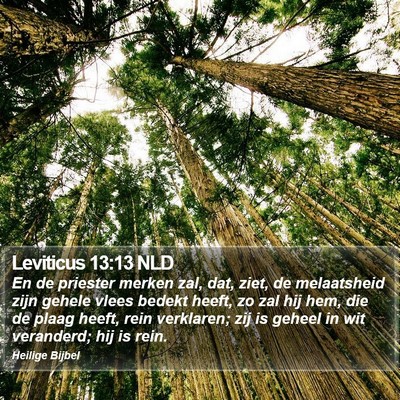 Leviticus 13:13 NLD Bible Verse Image