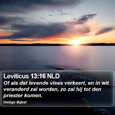 Leviticus 13:16 NLD Bible Verse Image