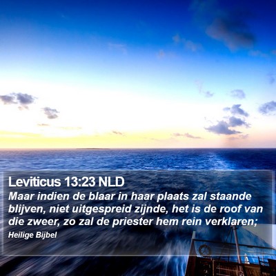Leviticus 13:23 NLD Bible Verse Image