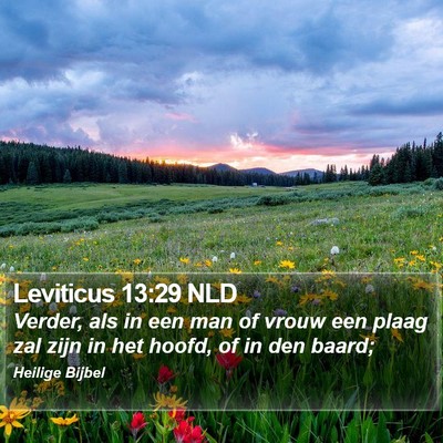 Leviticus 13:29 NLD Bible Verse Image