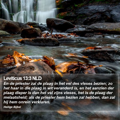Leviticus 13:3 NLD Bible Verse Image
