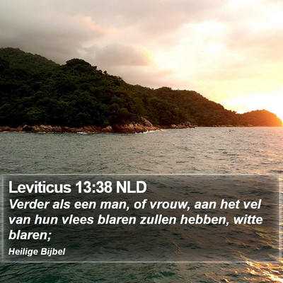 Leviticus 13:38 NLD Bible Verse Image
