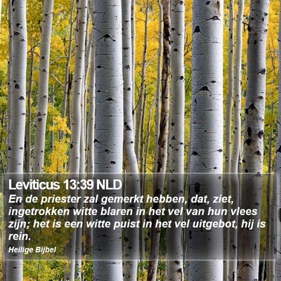 Leviticus 13:39 NLD Bible Verse Image