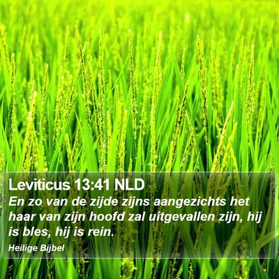 Leviticus 13:41 NLD Bible Verse Image