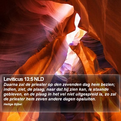 Leviticus 13:5 NLD Bible Verse Image