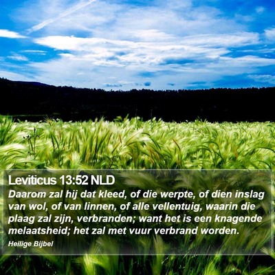 Leviticus 13:52 NLD Bible Verse Image