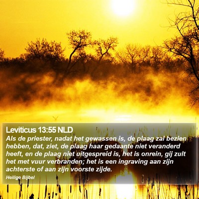 Leviticus 13:55 NLD Bible Verse Image