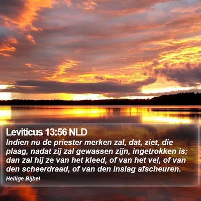 Leviticus 13:56 NLD Bible Verse Image