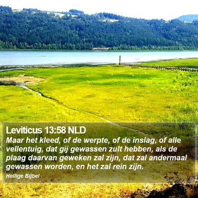 Leviticus 13:58 NLD Bible Verse Image