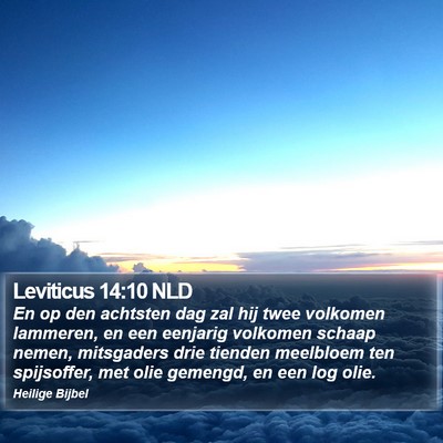Leviticus 14:10 NLD Bible Verse Image